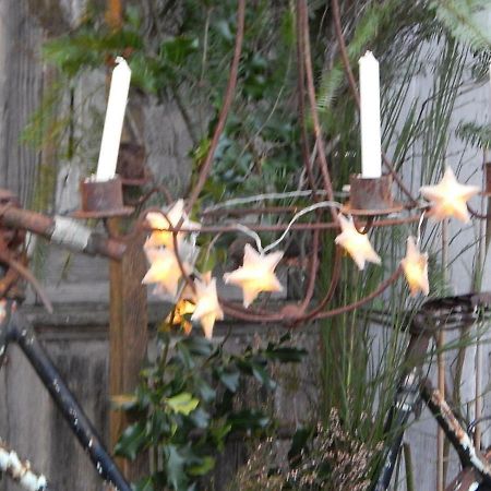 Saint-Gervais en-Belin Mimi La Sardine Bed & Breakfast エクステリア 写真