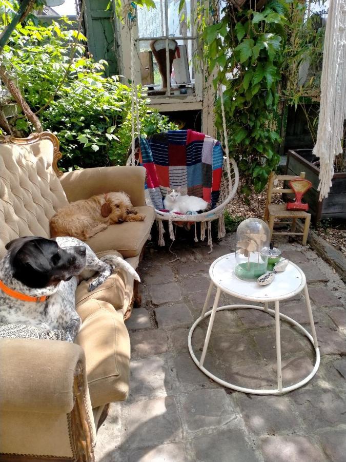 Saint-Gervais en-Belin Mimi La Sardine Bed & Breakfast エクステリア 写真